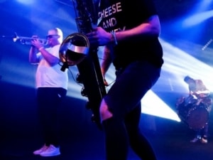 Too Many Zooz00006