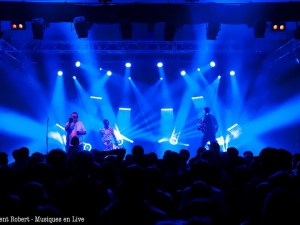 Too Many Zooz00012