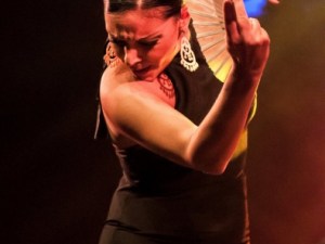 Pierre Bertrand & Caja Negra00017