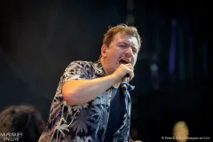 ASTEREOTYPIE_Patrick_Arfi_Vieilles_Charrues_2025-3