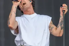 DAMIANO_-DAVID_Patrick_Arfi_Vieilles_Charrues_2025-1