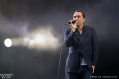 MALIK_DJOUDI_Patrick_Arfi_Vieilles_Charrues_2025-1