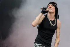 AIME_SIMONE_Patrick_Arfi_Vieilles_Charrues_2025-1