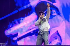 HAMZA_Patrick_Arfi_Vieilles_Charrues_2025-1