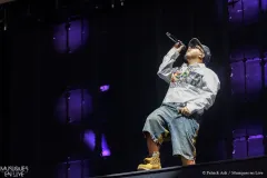 HAMZA_Patrick_Arfi_Vieilles_Charrues_2025-2