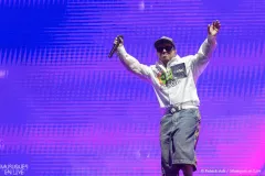 HAMZA_Patrick_Arfi_Vieilles_Charrues_2025-3