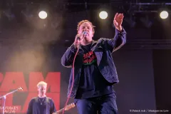 PAMELA_Patrick_Arfi_Vieilles_Charrues_2025-2