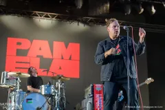 PAMELA_Patrick_Arfi_Vieilles_Charrues_2025-3
