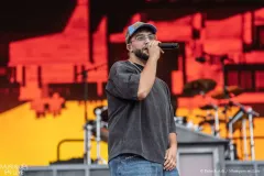 TIF_Patrick_Arfi_Vieilles_Charrues_2025-1