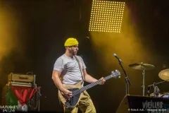 TOTORRO_Patrick_Arfi_Vieilles_Charrues_2025-4