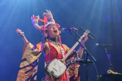 MITSUNE_Patrick_Arfi_Vieilles_Charrues_2025-3