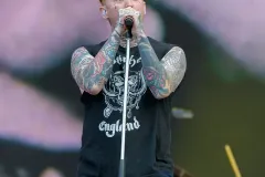SEX_PISTOLS_FT_FRANCK_CARTER_Patrick_Arfi_Vieilles_Charrues_2025-2