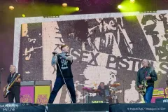 SEX_PISTOLS_FT_FRANCK_CARTER_Patrick_Arfi_Vieilles_Charrues_2025-4