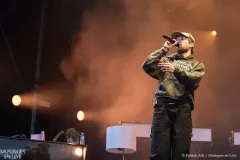 WALLACE_CLEAVER_Patrick_Arfi_Vieilles_Charrues_2025-1
