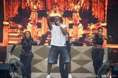 GIMS_Patrick_Arfi_Vieilles_Charrues_2026-1