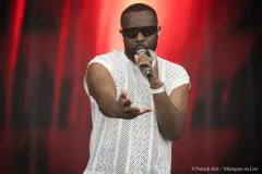 GIMS_Patrick_Arfi_Vieilles_Charrues_2026-3