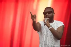 GIMS_Patrick_Arfi_Vieilles_Charrues_2026-4