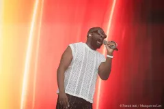 GIMS_Patrick_Arfi_Vieilles_Charrues_2026-5