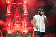 GIMS_Patrick_Arfi_Vieilles_Charrues_2026-6