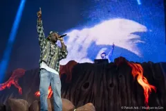 JOSMAN_Patrick_Arfi_Vieilles_Charrues_2026-2