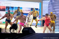 Katy_Perry_Patrick_Arfi_Vieilles_Charrues_2026-2