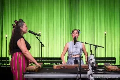 COCANHA_Patrick_Arfi_Vieilles_Charrues_2026-2