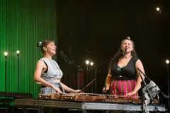 COCANHA_Patrick_Arfi_Vieilles_Charrues_2026-3