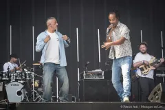 DUB_INC_Patrick_Arfi_Vieilles_Charrues_2026-1