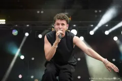 DANYL_Patrick_Arfi_Vieilles_Charrues_2026-1