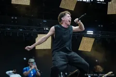 DANYL_Patrick_Arfi_Vieilles_Charrues_2026-2