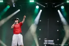 GOODBYE_KARELLE_Patrick_Arfi_Vieilles_Charrues_2026-1