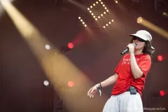 GOODBYE_KARELLE_Patrick_Arfi_Vieilles_Charrues_2026-3