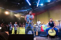LINDIGO_Patrick_Arfi_Vieilles_Charrues_2026-1