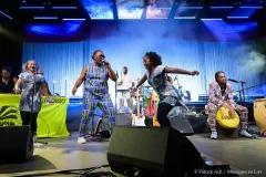 LINDIGO_Patrick_Arfi_Vieilles_Charrues_2026-3