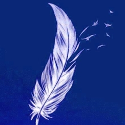 L'équipe Musiques en Live 5 franck hercent