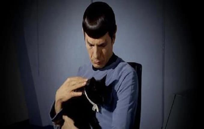 SPOCK AIME LES CHATS