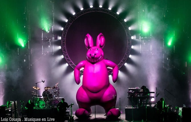 australian pink floyd