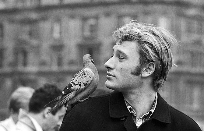 JOHNNY HALLYDAY, LE DERNIER VOYAGE... 1 johnny halliday