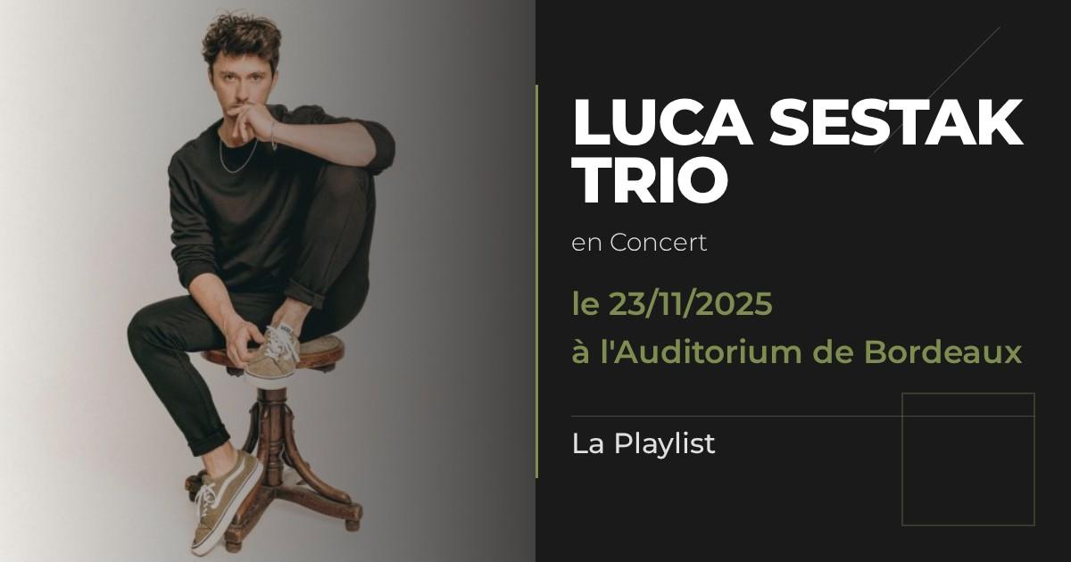 Playlist vidéos Luca Sestak trio 1 Luca sestak