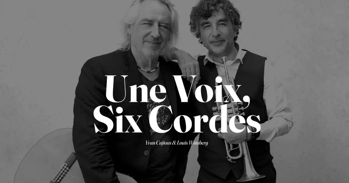 une voix 6 cordes