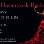 flamenco