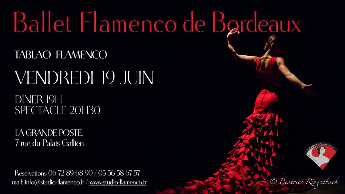 BALLET FLAMENCO DE BORDEAUX - 19 juin - La Grande Poste Bordeaux 7 flamenco