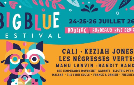 BIG BLUE FESTIVAL