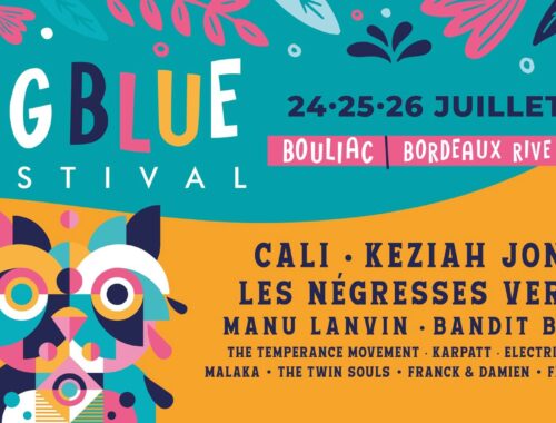 BIG BLUE FESTIVAL