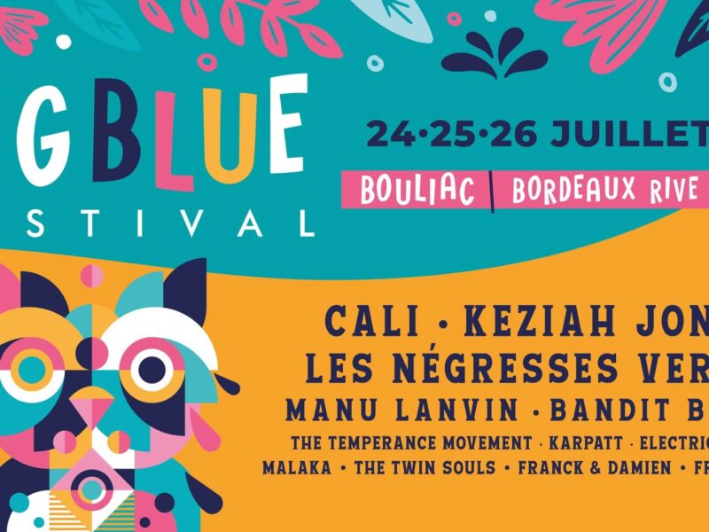 BIG BLUE FESTIVAL