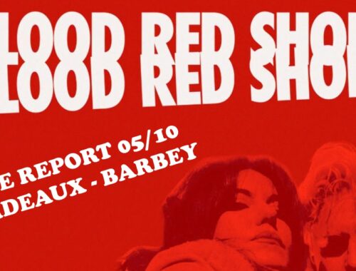 BLOOD RED SHOES MeL